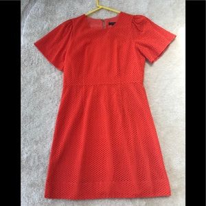J. Crew orange eyelet dress
